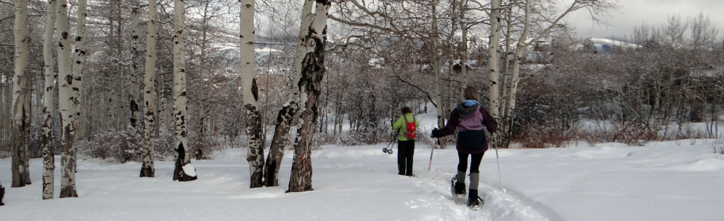Top 10 Snowshoeing Spots snowshoeing 1 top 10 snowshoeing spots uncategorized